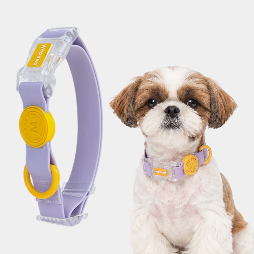 Set Collare + Guinzaglio Impermeabile Multifunzione con Fibbia Trasparente - Viola Pastello