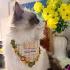 Meow BuBu Handmade Bandana - Collezione Aroma di Limone