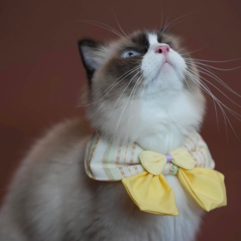 Meow BuBu Handmade Bandana - Collezione Aroma di Limone