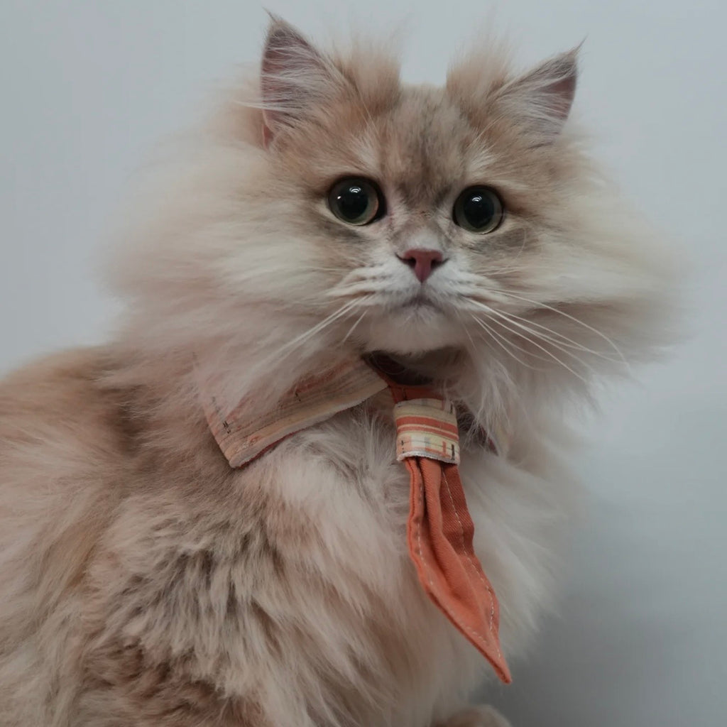 Meow BuBu Handmade Bandana - Collezione Tramonto d'Estate