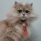 Meow BuBu Handmade Bandana - Collezione Tramonto d'Estate
