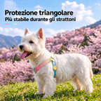 Set Pettorina a Y con LED e Guinzaglio Multifunzionale - Arcobaleno Sfumato