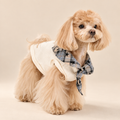 Maglia per cani con colletto fiocco