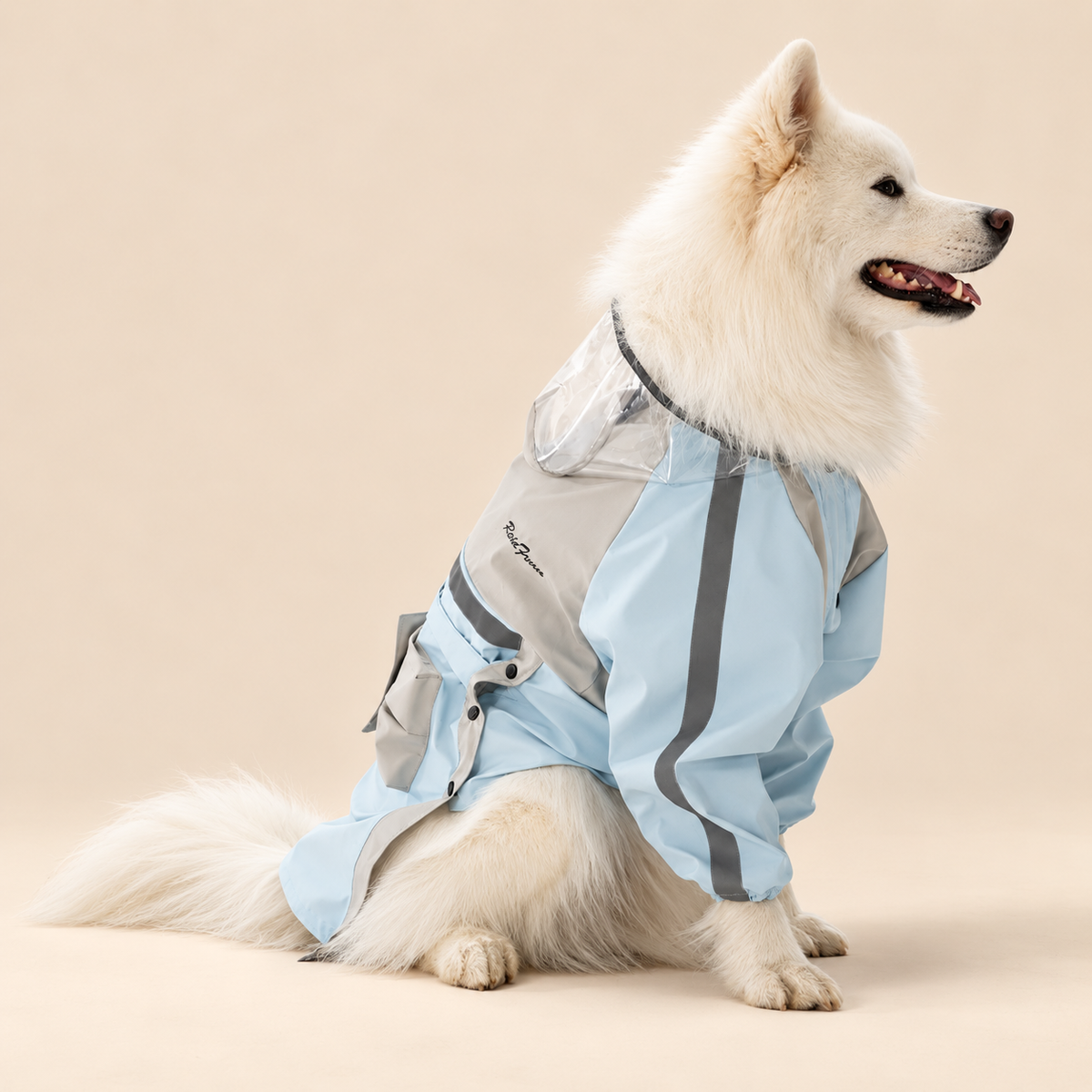 Impermeabile a Due Zampe per Cani di Taglia Grande con Cappuccio a Visiera Trasparente Giacca Outdoor