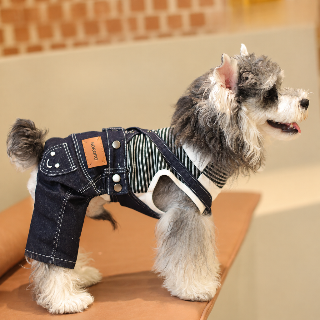 Cane con salopette jeans e maglia termica a righe
