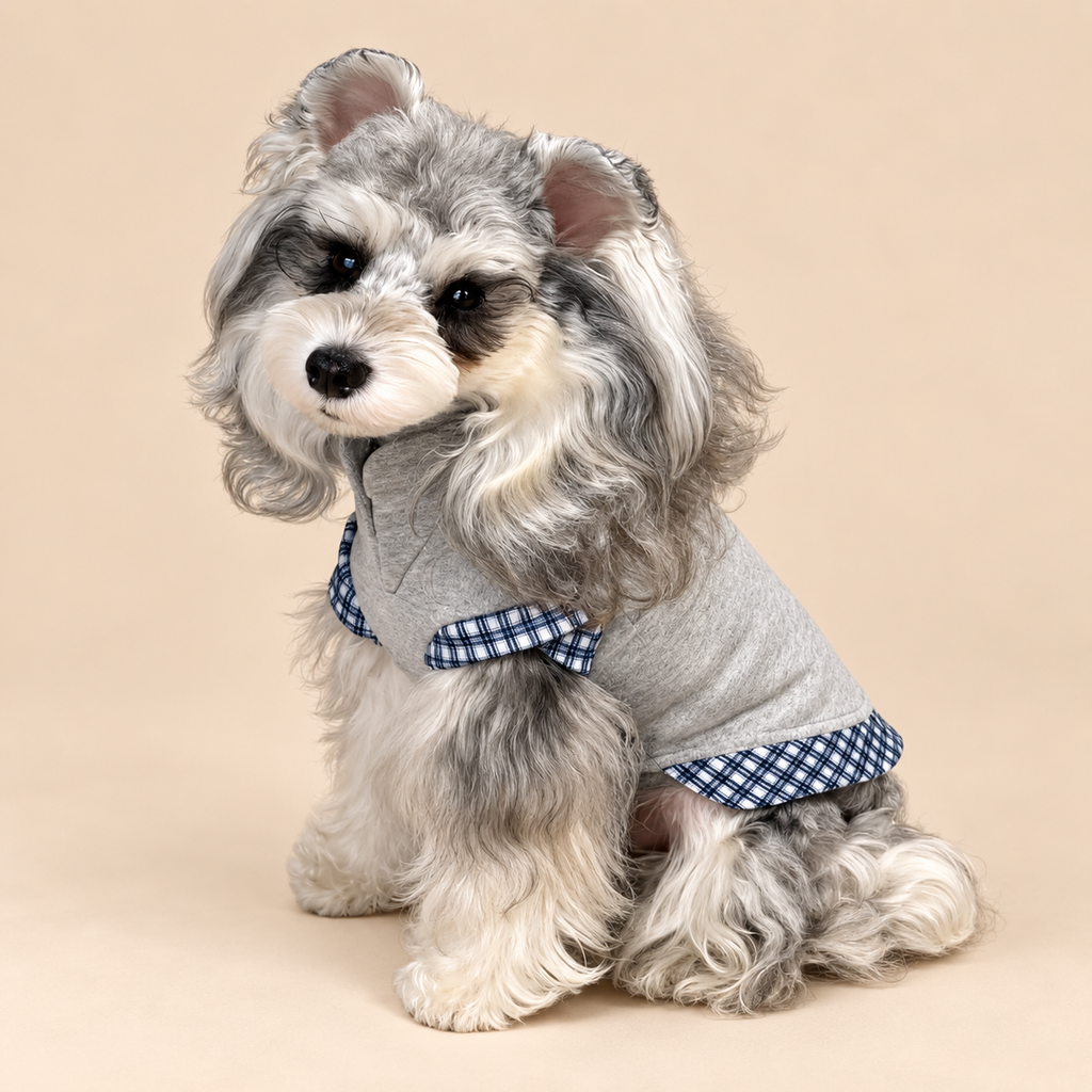 Felpa Gilet con Scollo a V Stile Finto Due Pezzi Grigio con Inserto a Quadri Blu e Bianchi