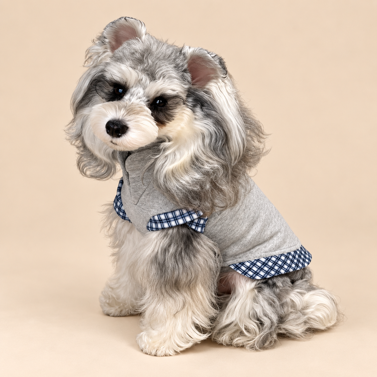 Felpa Gilet con Scollo a V Stile Finto Due Pezzi Grigio con Inserto a Quadri Blu e Bianchi