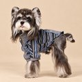 Felpa a Due Zampe con Collo Alto e Mezza Zip Design Patchwork con Stampa Cagnolino