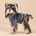 Felpa a Due Zampe con Collo Alto e Mezza Zip Design Patchwork con Stampa Cagnolino