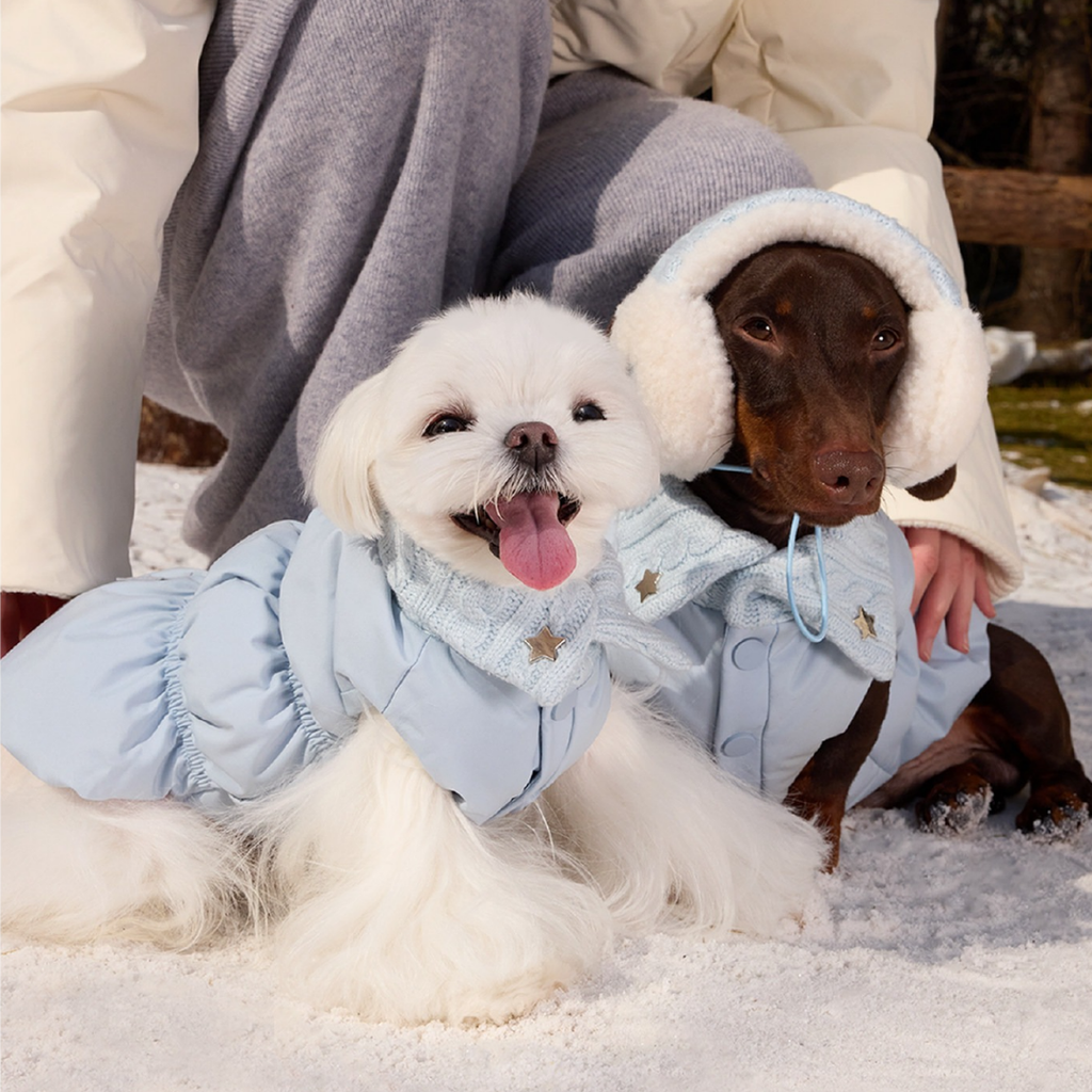 cappotto imbottito per cani invernale