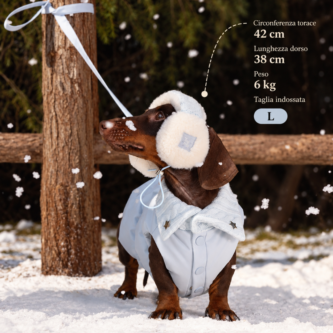 cane con cappotto invernale azzurro