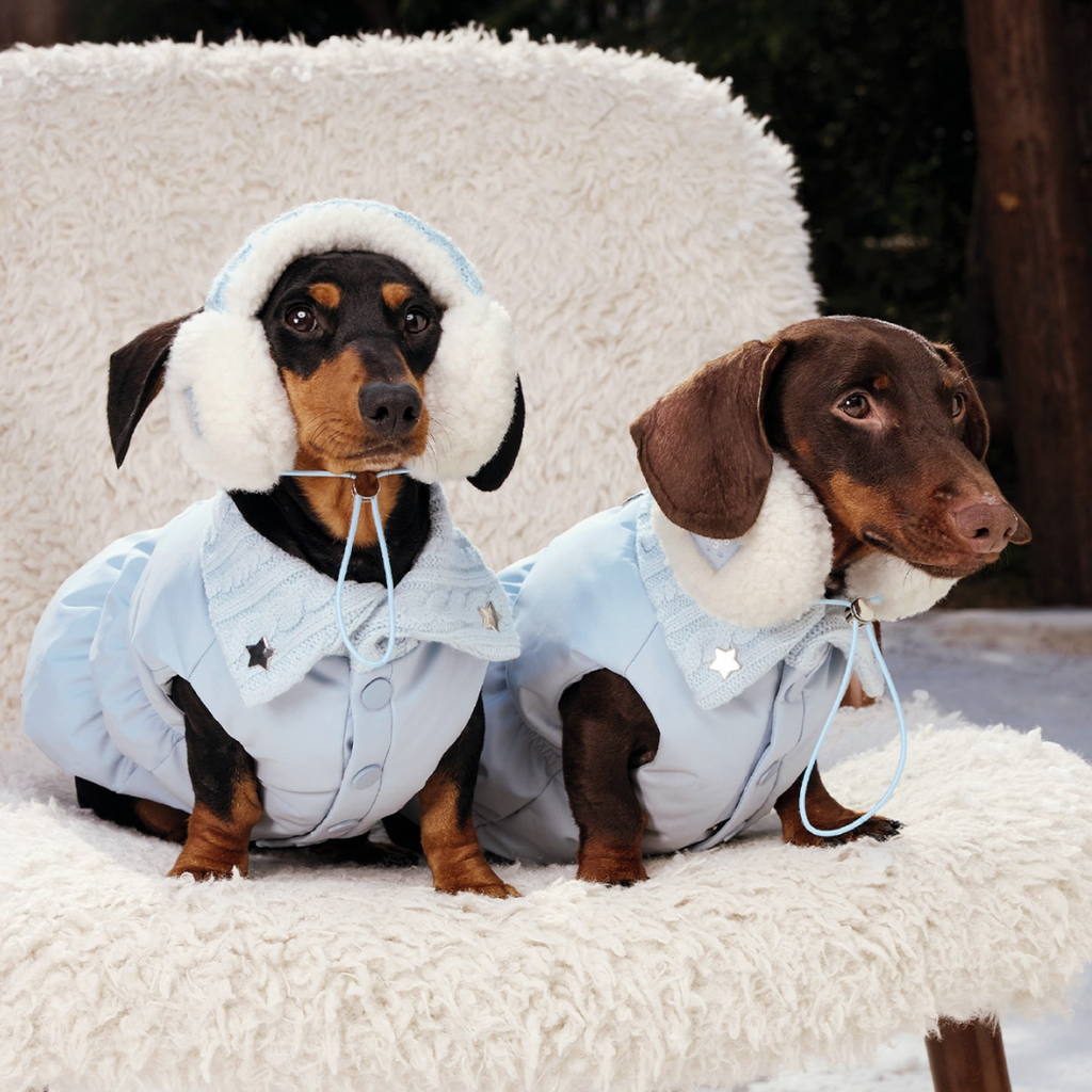 giubbotto imbottito per cani con collo alto colore azzurro