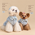 gilet imbottito per cani caldo fashion azzurro con stelle