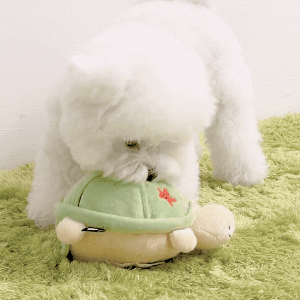 BITE ME – Gioco Olfattivo Interattivo per Cani con Pallina Rimbalzante Automatica | Tartaruga