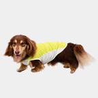 Gilet Rinfrescante Protezione Solare Maglietta Estiva Ultraleggera Traspirante - Verde Fresco